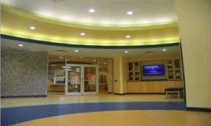Interior and Design of School